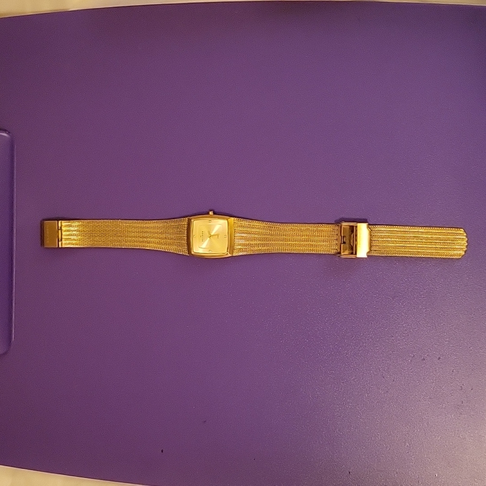 Skagen elegant ladies watch